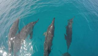Madi Grand Maldives fotoÄŸrafÄ±