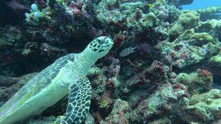 Madi Grand Maldives fotoÄŸrafÄ±