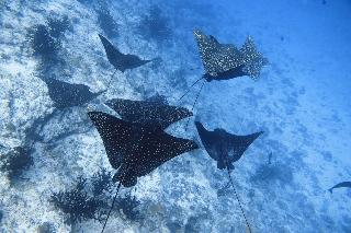 Madi Grand Maldives fotoÄŸrafÄ±