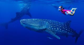 Madi Grand Maldives fotoÄŸrafÄ±
