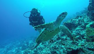 Madi Grand Maldives fotoÄŸrafÄ±