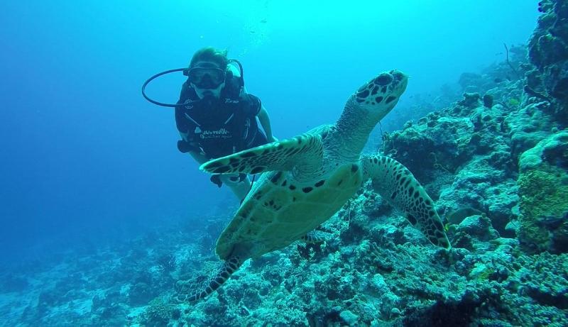 Madi Grand Maldives - Aktivite