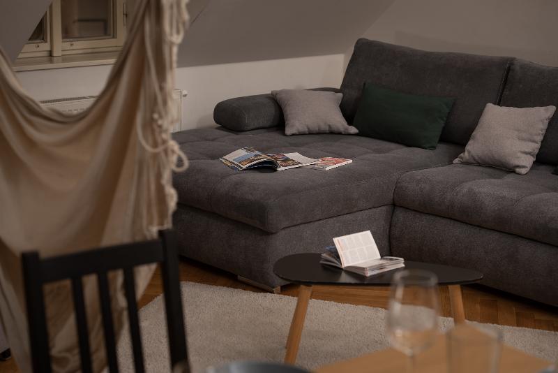 Boutique Apartments White Swan - Oda