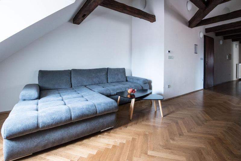 Boutique Apartments White Swan - Oda