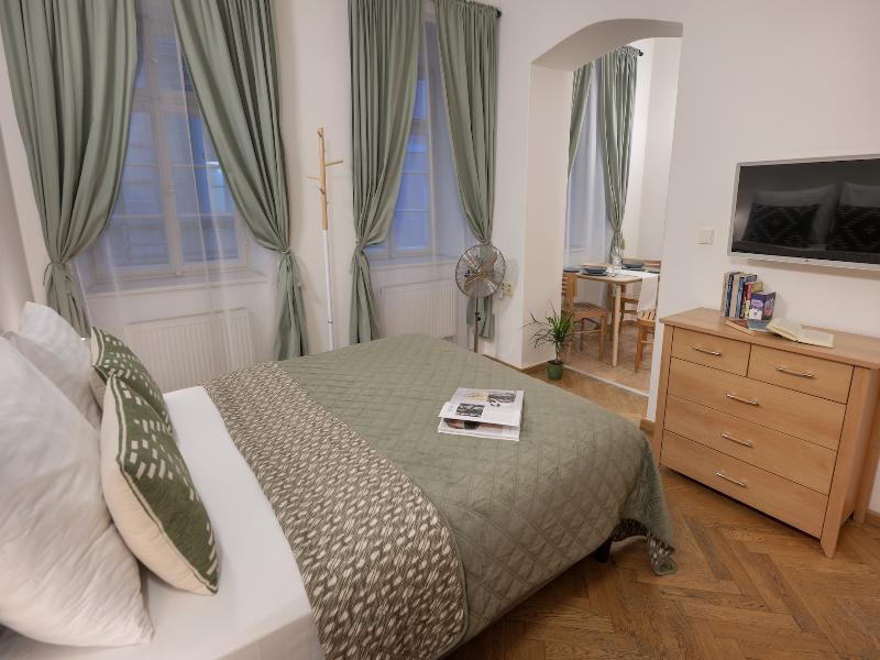 Boutique Apartments White Swan - Oda