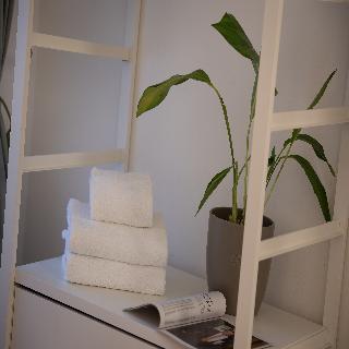 Boutique Apartments White Swan fotoÄŸrafÄ±