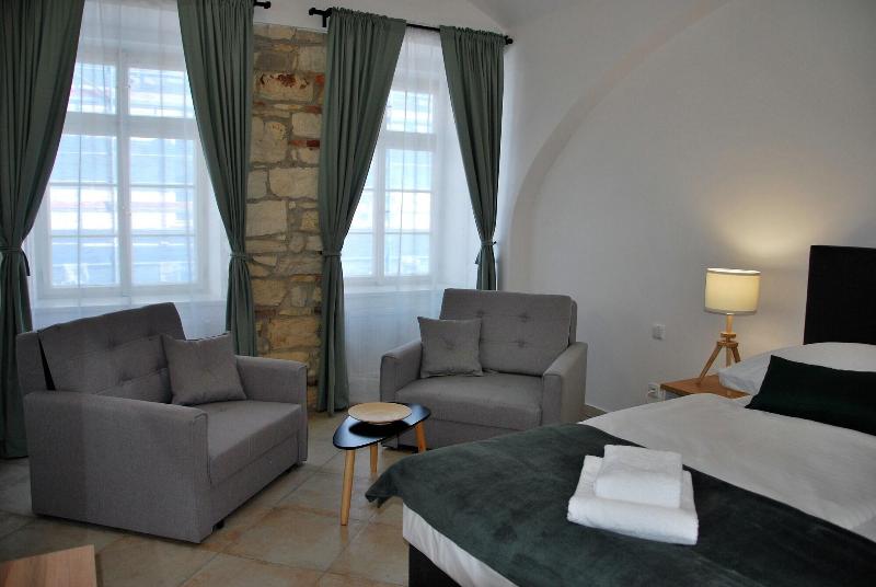 Boutique Apartments White Swan - Oda