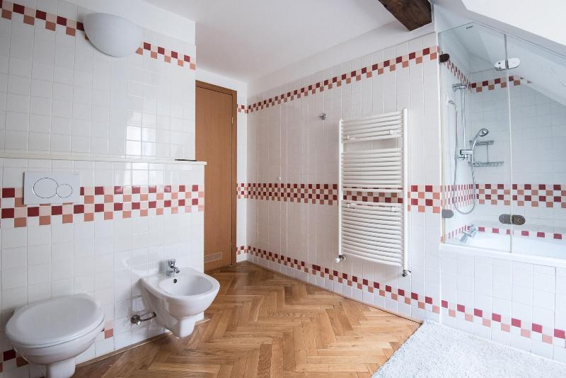 Boutique Apartments White Swan - Oda