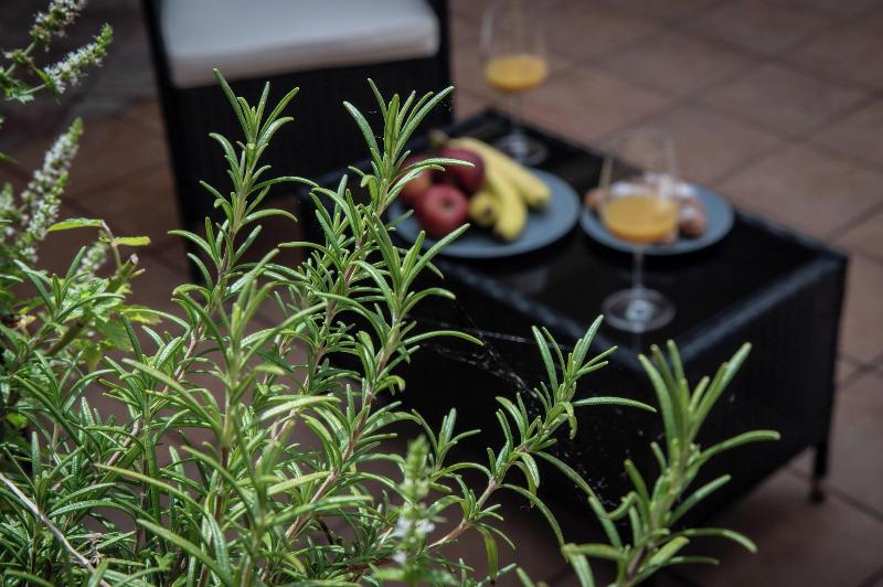 Boutique Apartments White Swan - Oda