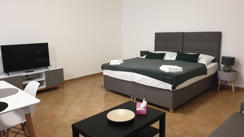 Boutique Apartments White Swan - Oda