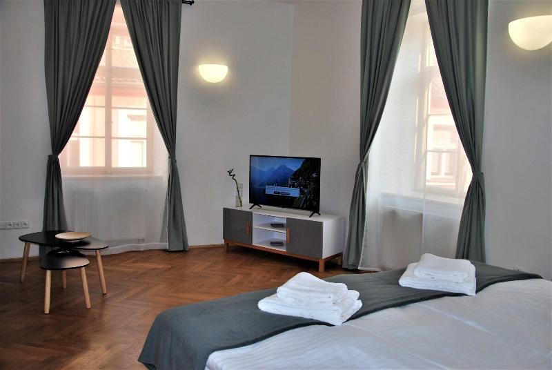 Boutique Apartments White Swan - Oda