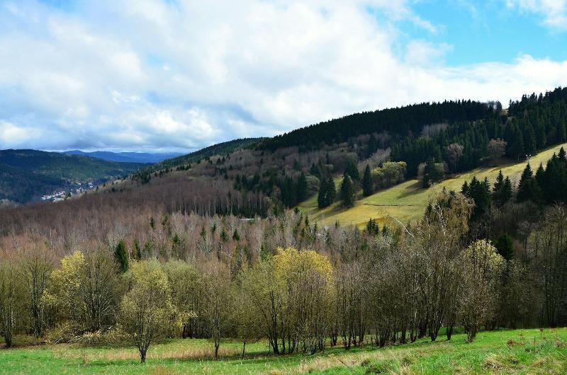Pytloun Wellness Hotel Hasištejn - Aktivite
