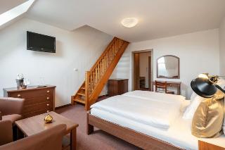 Pytloun Wellness Hotel Hasištejn fotoÄŸrafÄ±
