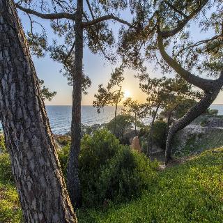 W Algarve Hotel fotoÄŸrafÄ±