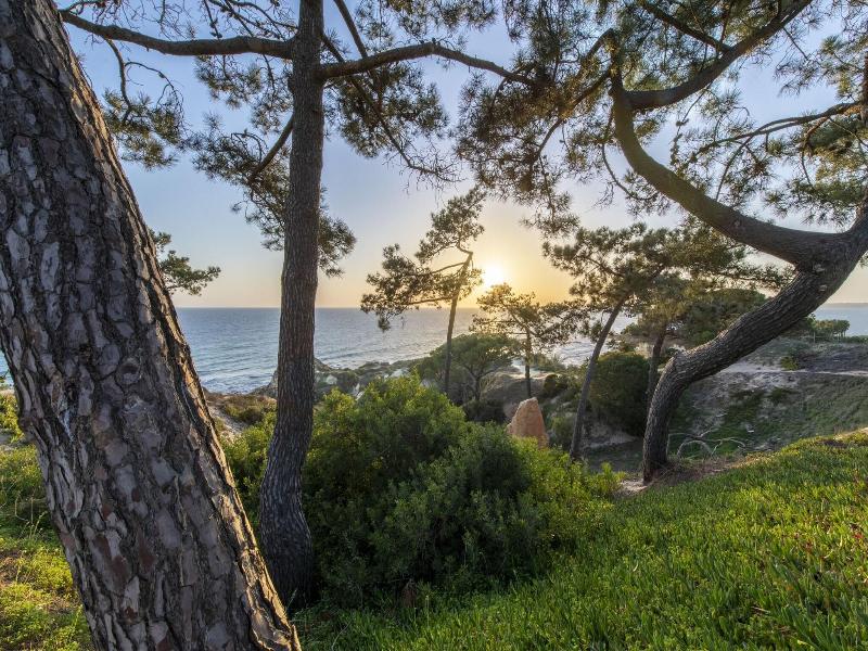 W Algarve Hotel - Genel