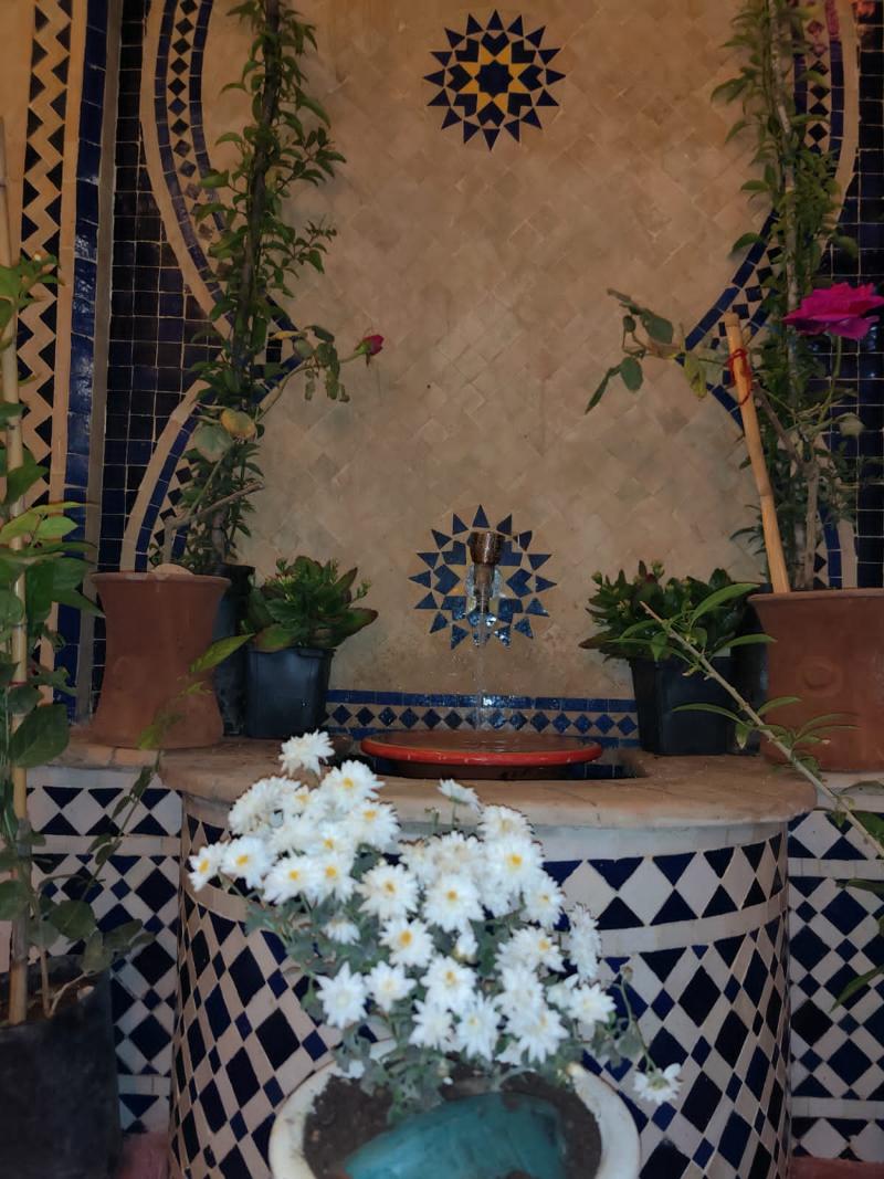 Fez Experience - Oda