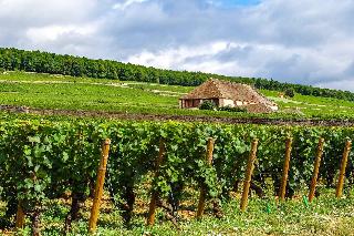 Voco Beaune fotoÄŸrafÄ±