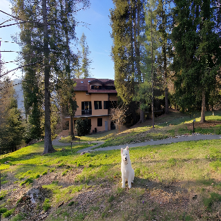 Hotel Montegrino fotoÄŸrafÄ±