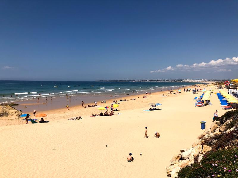 Tropicana Holiday Apartments - Oda