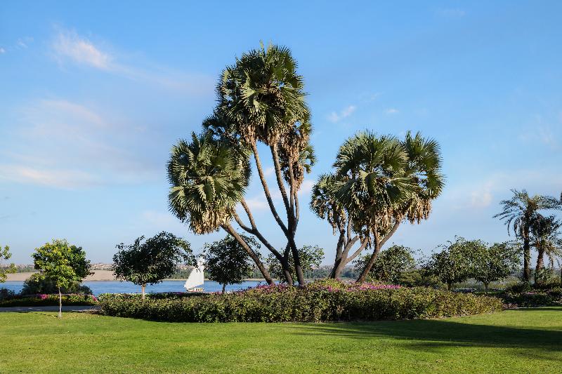 The Zen Wellness Resort - Genel