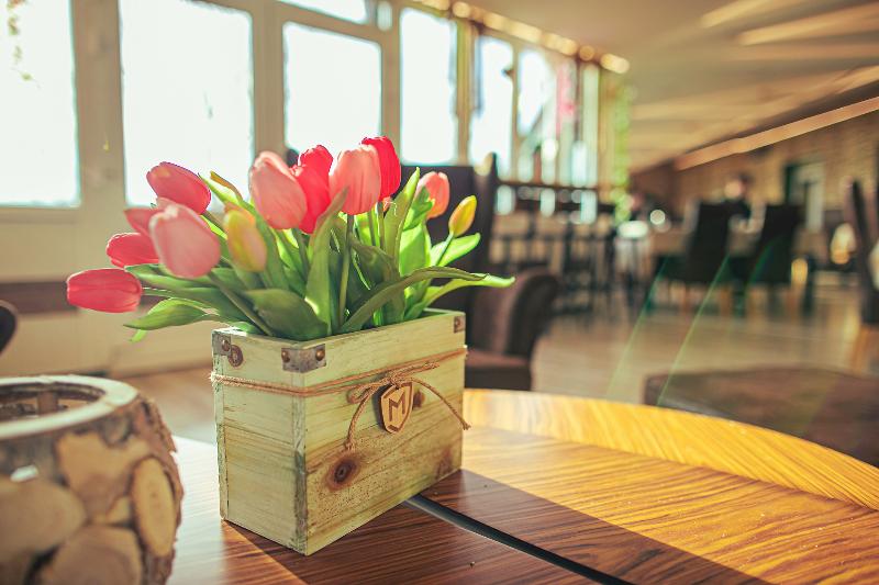 Martoni Resort - Restoran
