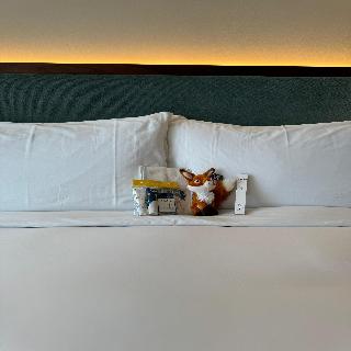 Duo Hotel Lisbon, Curio Collection by Hilton fotoÄŸrafÄ±