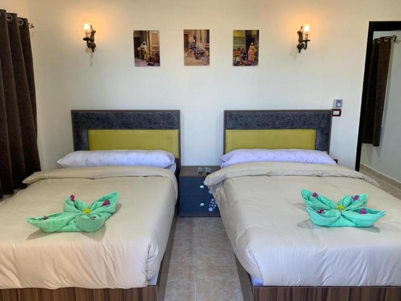 Reef House Marsa Alam - Oda