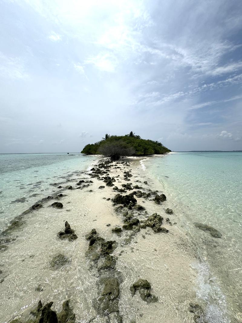Crown Beach Hotel - Aktivite