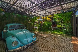 Elemento Homestay fotoÄŸrafÄ±