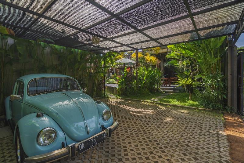 Elemento Homestay - Genel