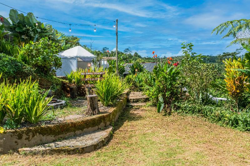 Alam Kita Glamping & Plantation - Lobi