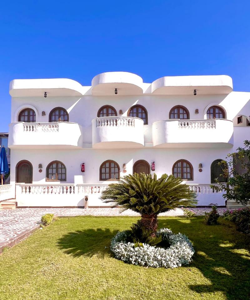 Dahab Holiday Hotel - Teras
