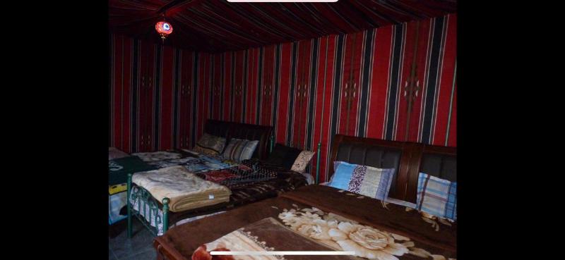 Little Petra Bedouin Camp - Oda
