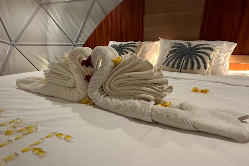 Glamping @ Pebbles & Fins By Zuzu - Oda