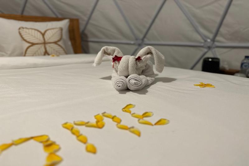Glamping @ Pebbles & Fins By Zuzu - Oda