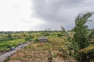 Kerti Suite fotoÄŸrafÄ±