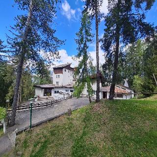 Hotel Paolino fotoÄŸrafÄ±