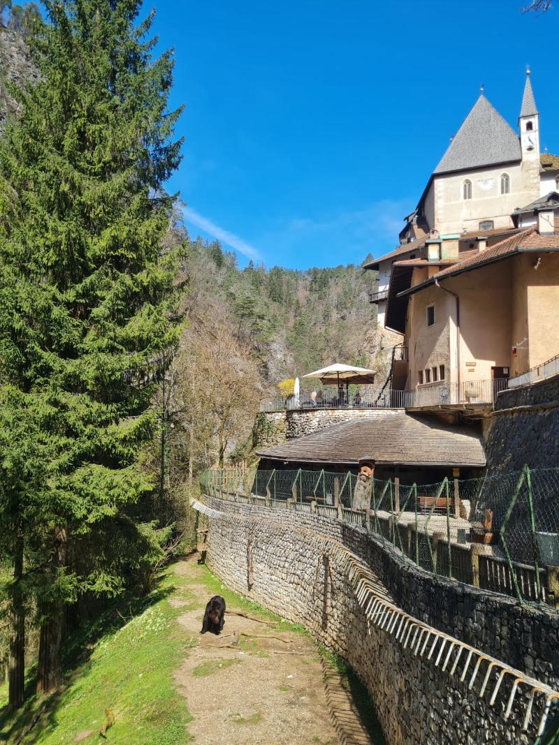 Hotel Paolino - Aktivite