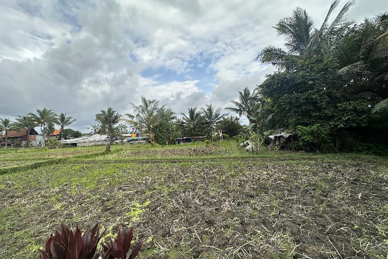 Tiny ECO Bamboo Ubud By Zuzu - Genel