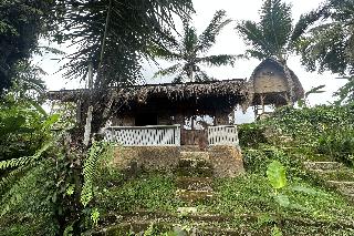 Tiny ECO Bamboo Ubud By Zuzu otel fotoğrafı