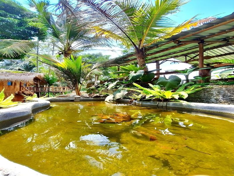 Tiny ECO Bamboo Ubud By Zuzu - Genel