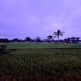 Tiny ECO Bamboo Ubud By Zuzu fotoÄŸrafÄ±