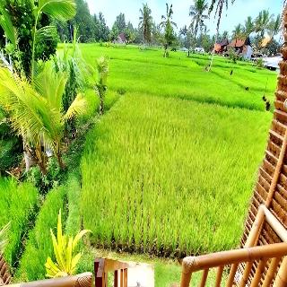 Tiny ECO Bamboo Ubud By Zuzu fotoÄŸrafÄ±