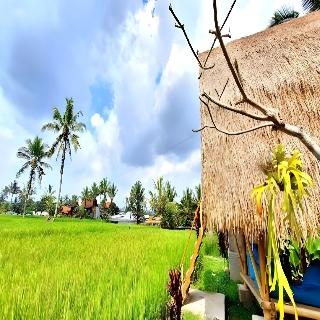 Tiny ECO Bamboo Ubud By Zuzu fotoÄŸrafÄ±