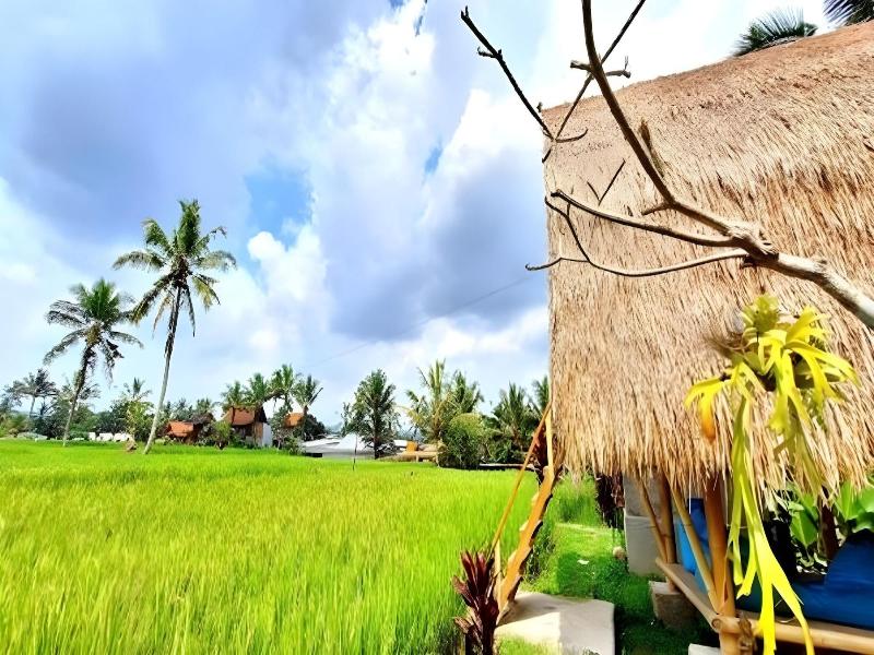 Tiny ECO Bamboo Ubud By Zuzu - Genel