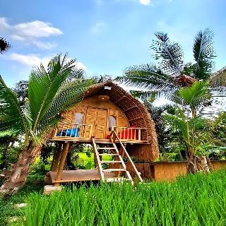 Tiny ECO Bamboo Ubud By Zuzu fotoÄŸrafÄ±