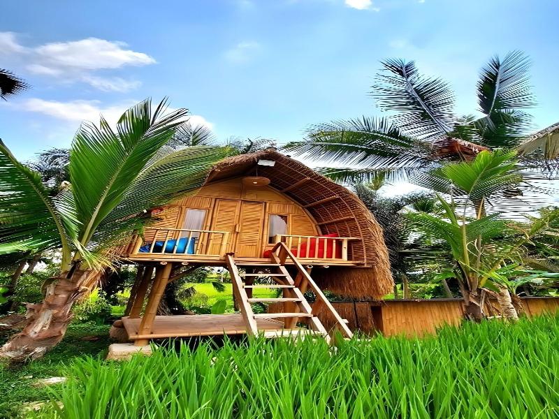 Tiny ECO Bamboo Ubud By Zuzu - Genel