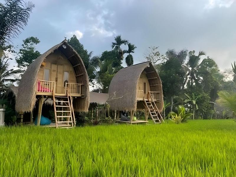 Tiny ECO Bamboo Ubud By Zuzu - Genel