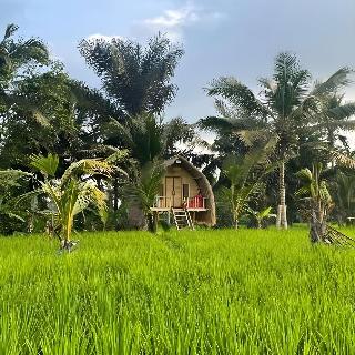 Tiny ECO Bamboo Ubud By Zuzu fotoÄŸrafÄ±