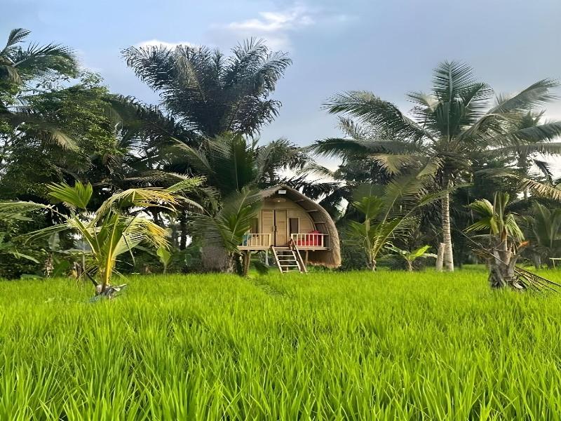 Tiny ECO Bamboo Ubud By Zuzu - Genel
